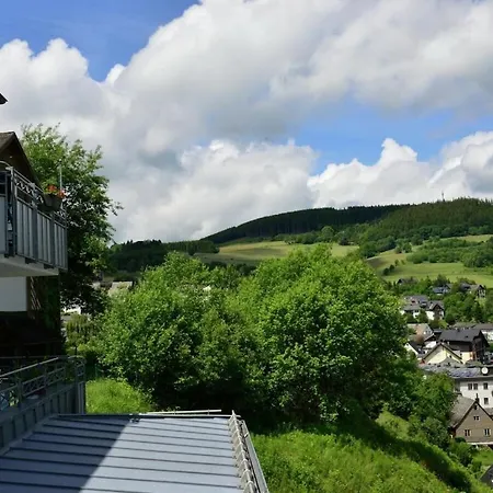 1 Bedroom Casa de Férias Willingen (Upland)